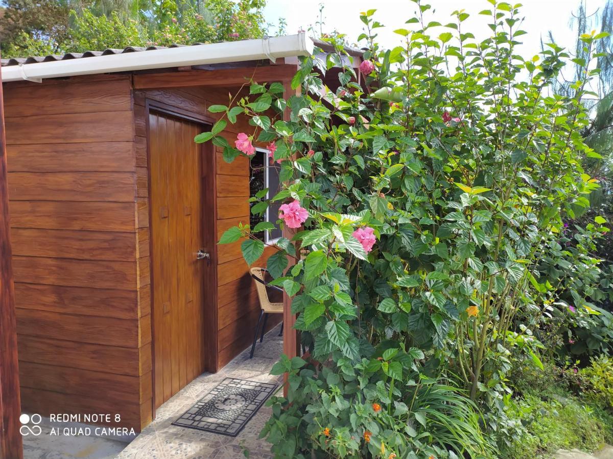 مانيزاليس Mirador Finca Morrogacho المظهر الخارجي الصورة