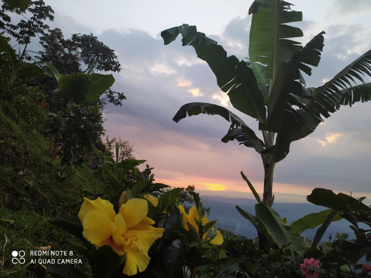 مانيزاليس Mirador Finca Morrogacho المظهر الخارجي الصورة