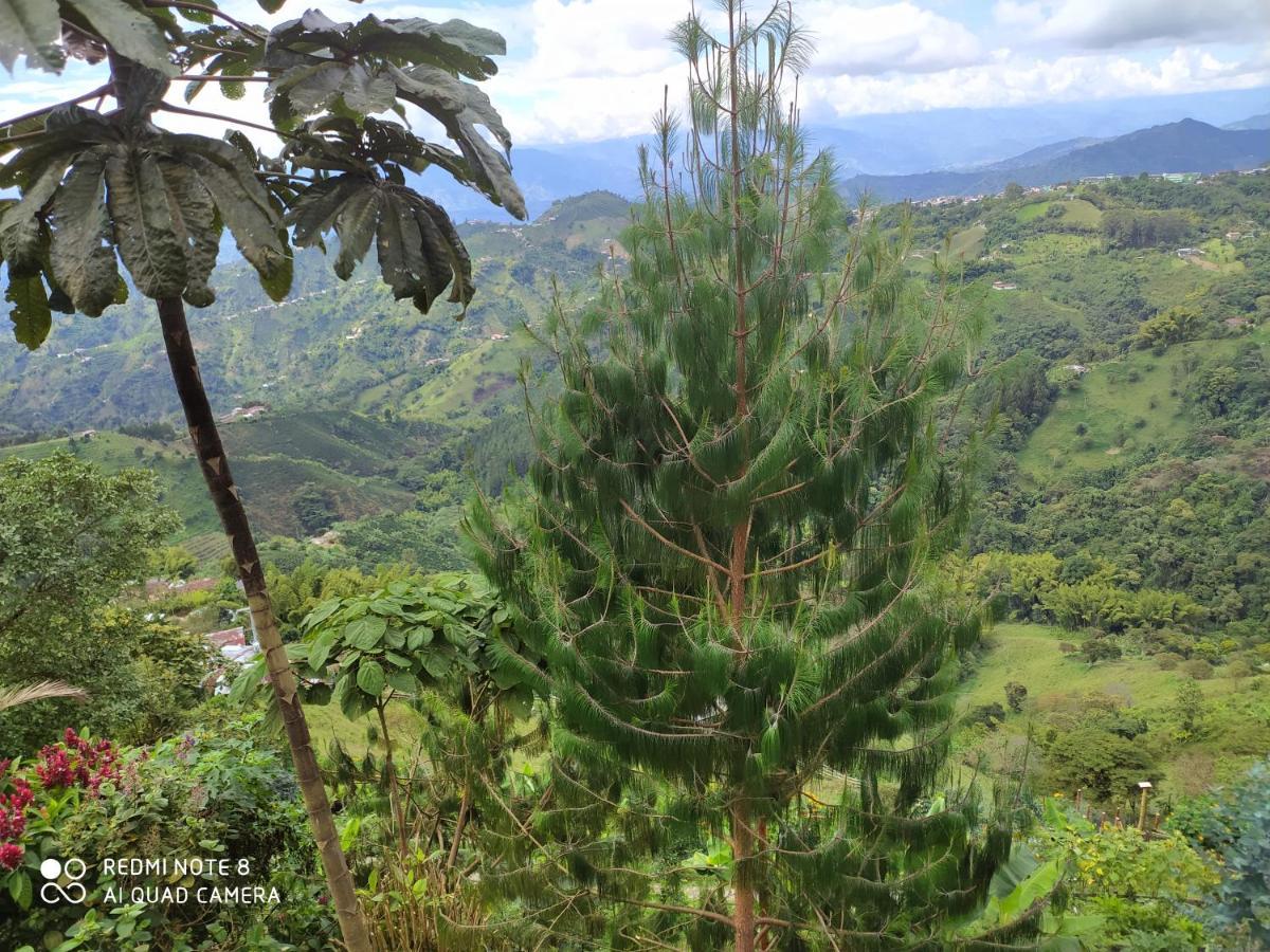 مانيزاليس Mirador Finca Morrogacho المظهر الخارجي الصورة