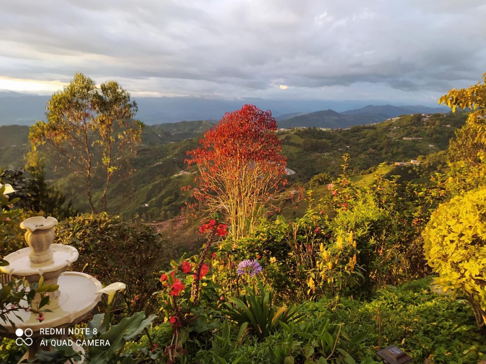 مانيزاليس Mirador Finca Morrogacho المظهر الخارجي الصورة