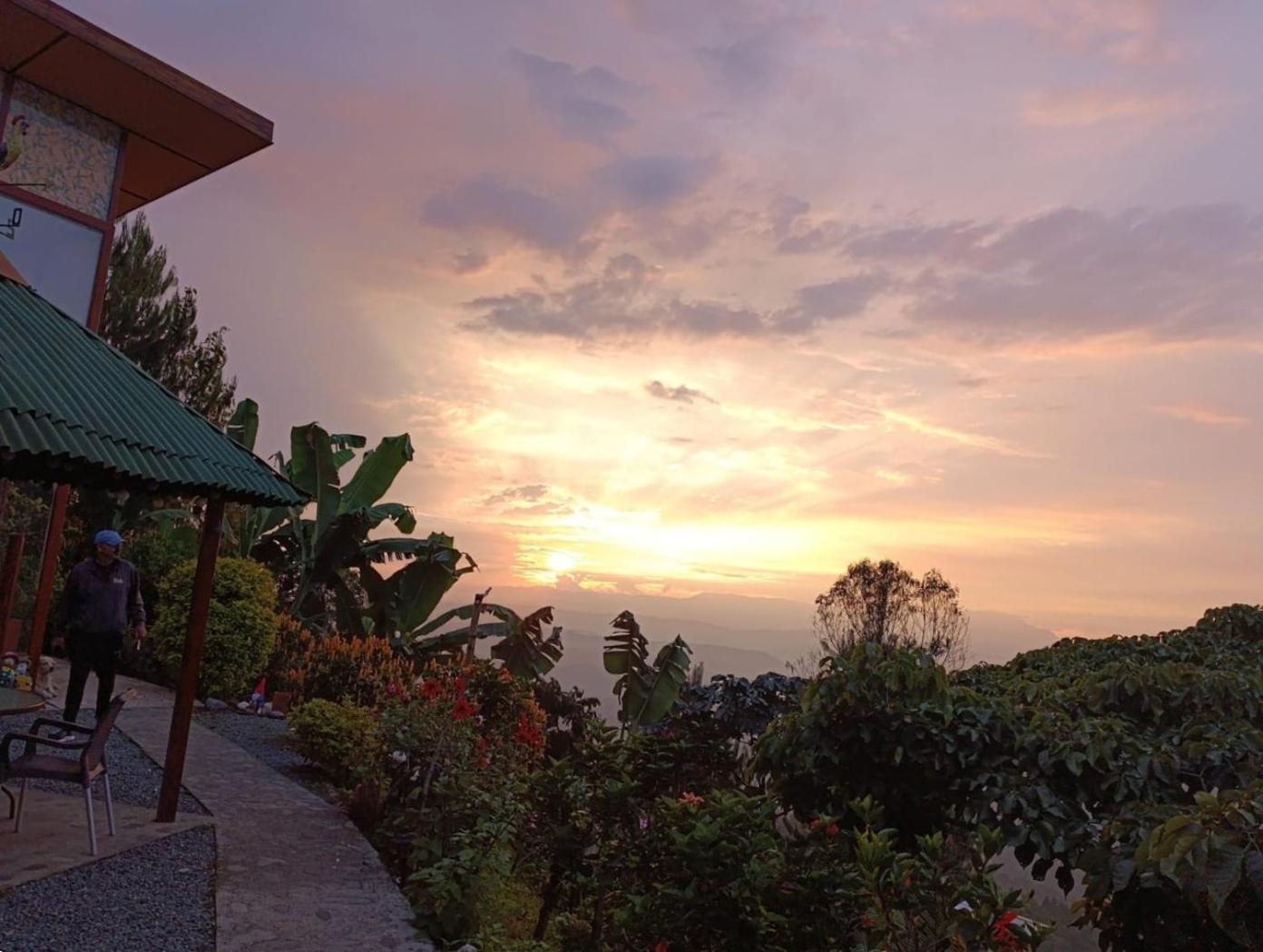 مانيزاليس Mirador Finca Morrogacho المظهر الخارجي الصورة