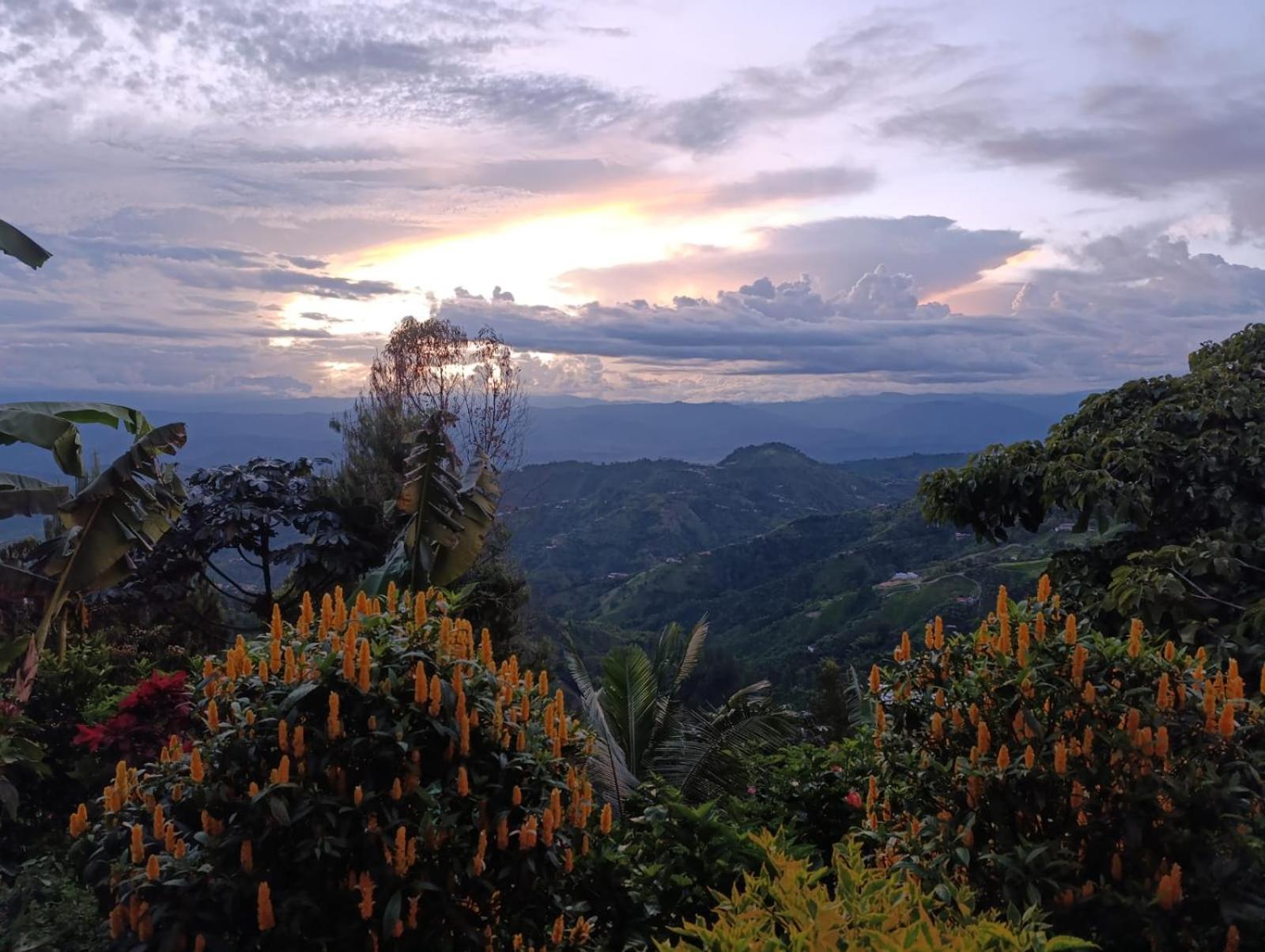 مانيزاليس Mirador Finca Morrogacho المظهر الخارجي الصورة