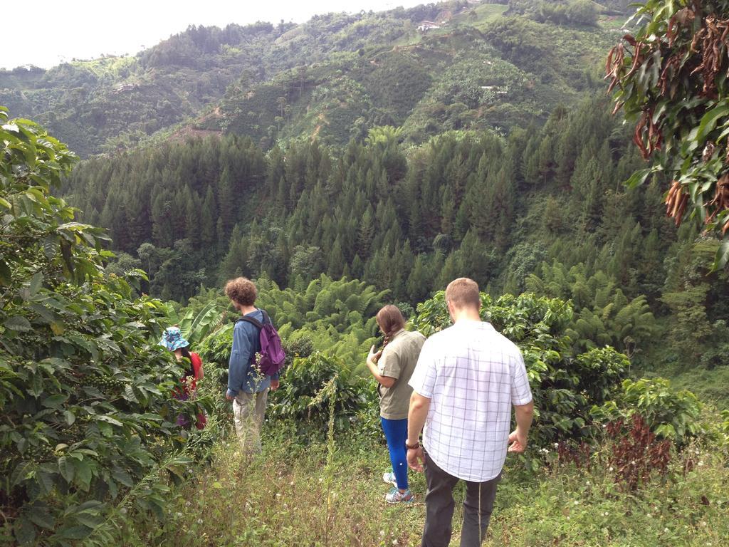 مانيزاليس Mirador Finca Morrogacho المظهر الخارجي الصورة
