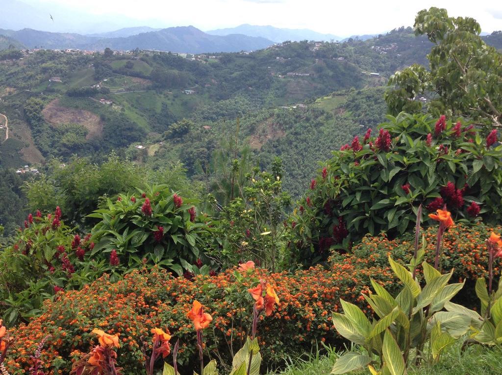 مانيزاليس Mirador Finca Morrogacho المظهر الخارجي الصورة